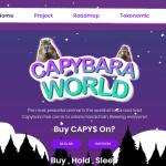 Capybara Coin Review : Is It Good Or Bad Coin Read Our Article