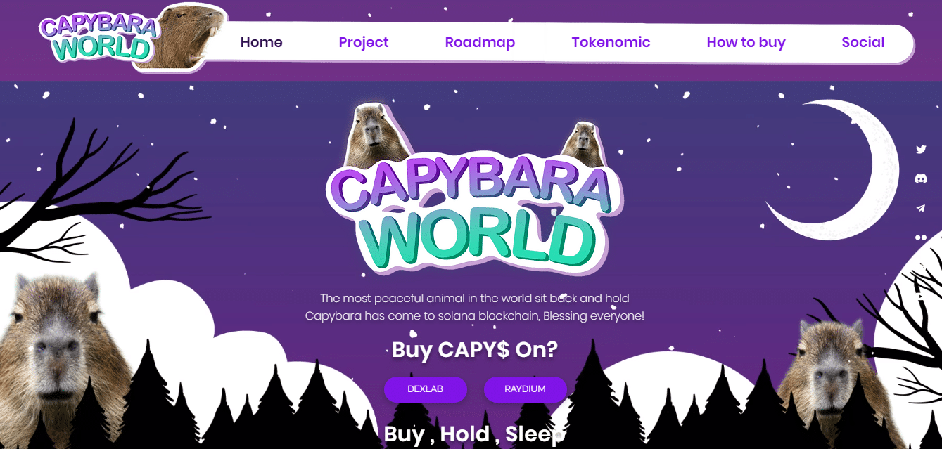Capybara Coin Review : Is It Good Or Bad Coin Read Our Article