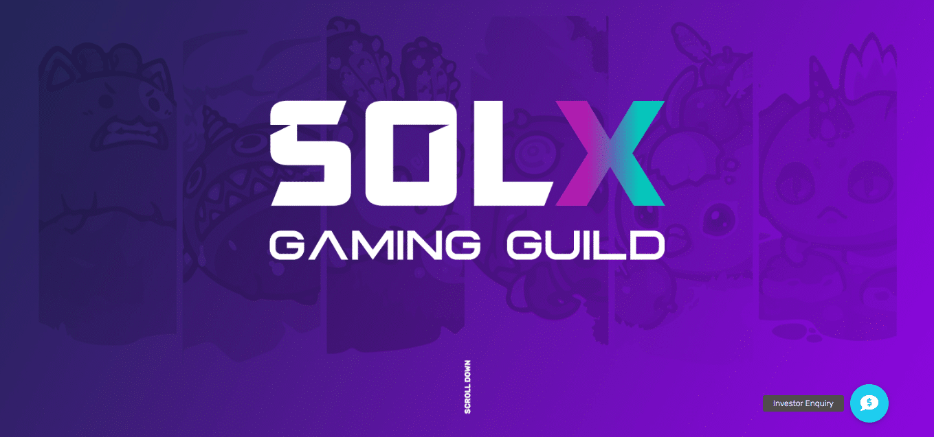 SolX Gaming Guild Coin Review : Is It Good Or Bad Coin Read Our Article