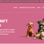 Pochi Inu Coin Review : Is It Good Or Bad Coin Read Our Article