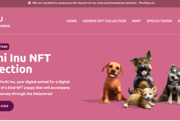 Pochi Inu Coin Review : Is It Good Or Bad Coin Read Our Article