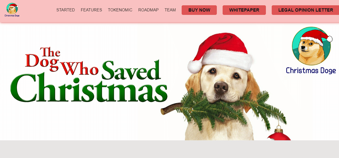 Christmas Doge Coin Review : Is It Good Or Bad Coin Read Our Article