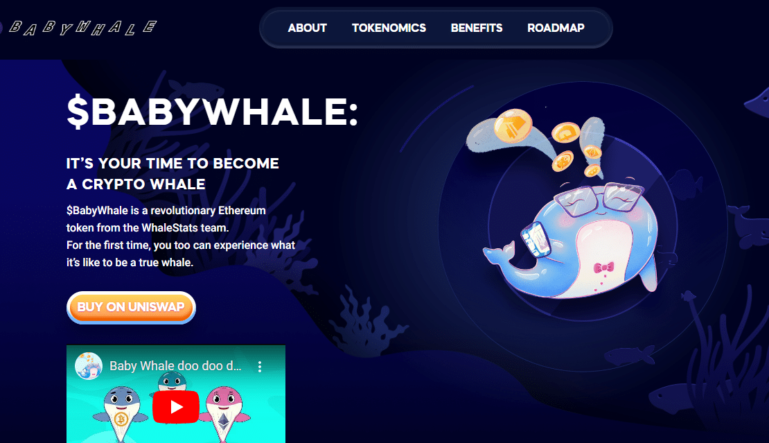BabyWhale Coin Review : Is It Good Or Bad Coin Read Our Article
