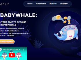 BabyWhale Coin Review : Is It Good Or Bad Coin Read Our Article