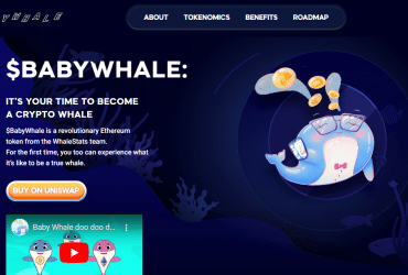 BabyWhale Coin Review : Is It Good Or Bad Coin Read Our Article