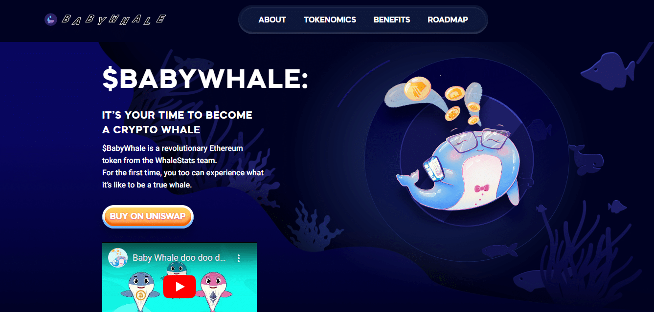 BabyWhale Coin Review : Is It Good Or Bad Coin Read Our Article