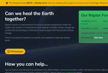 Raptor Finance (RPTR) Coin Review : Is It Good Or Bad Coin Read Our Article