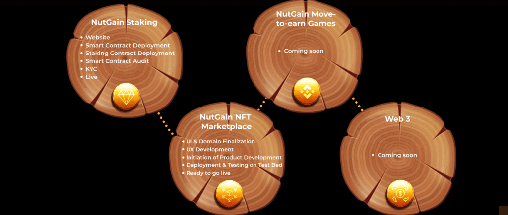 NUTGAIN Coin