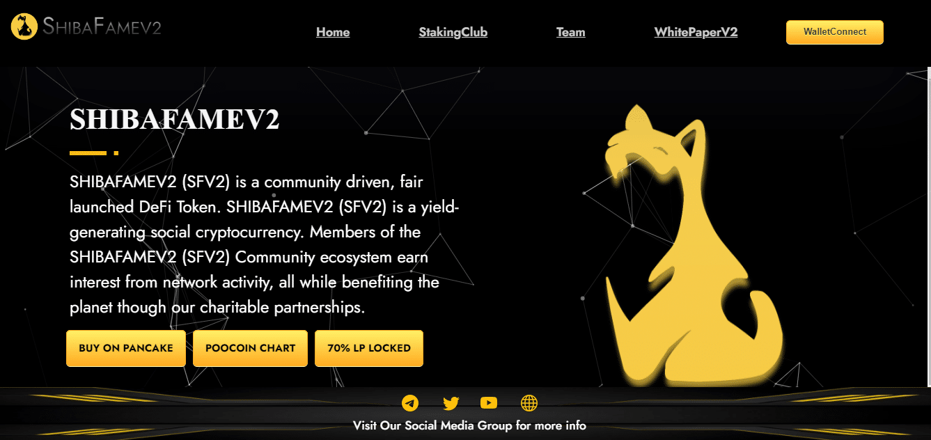 ShibaFameV2 Coin Review : Is It Good Or Bad Coin Read Our Article