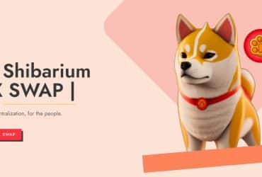 PAWSWAP Coin Review : Is It Good Or Bad Coin Read Our Article