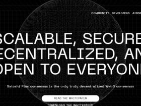 Core DAO Coin Review : Is It Good Or Bad Coin Read Our Article