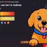 FLOSHIDO INU Coin Review : Is It Good Or Bad Coin Read Our Article