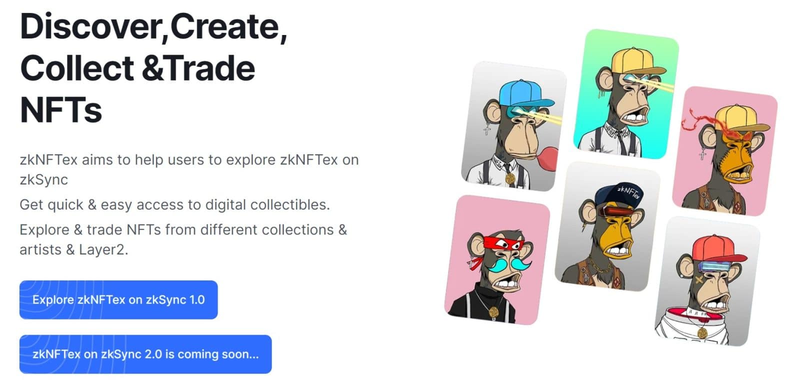 zkNFTex Coin Review : Is It Good Or Bad Coin Read Our Article