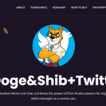 ShibCEO Coin Review : Is It Good Or Bad Coin Read Our Article