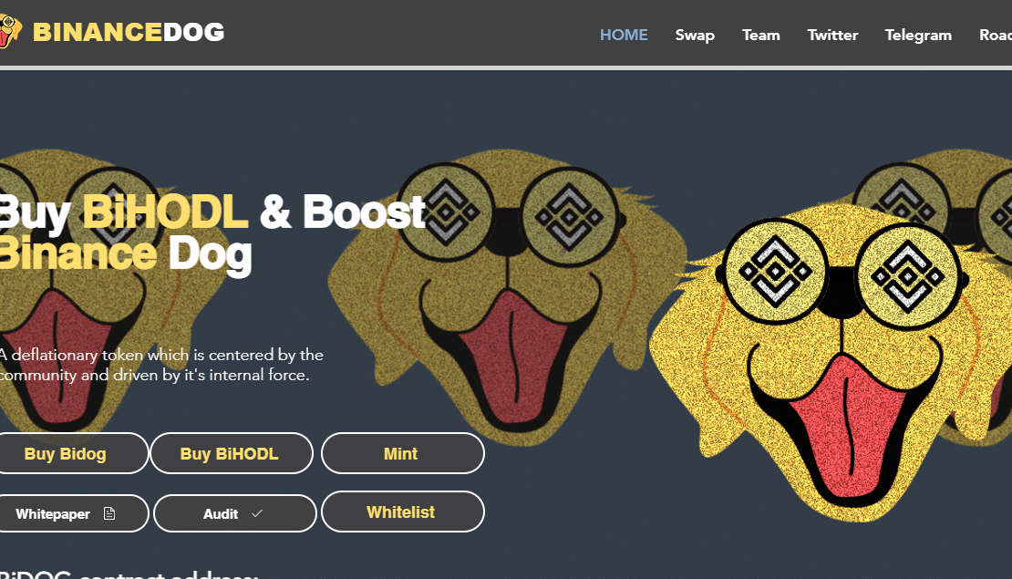 Binancedog Coin Review : Is It Good Or Bad Coin Read Our Article