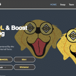 Binancedog Coin Review : Is It Good Or Bad Coin Read Our Article