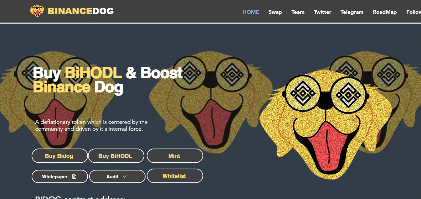 Binancedog Coin Review : Is It Good Or Bad Coin Read Our Article