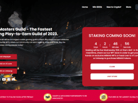 Meta Masters Guild Coin Review : Is It Good Or Bad Coin Read Our Article