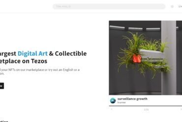 Objkt.com Airdrop Review 2023: Good Or Bad Airdrop Read Our Review