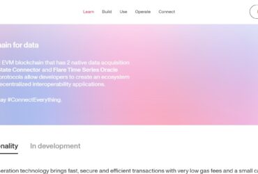 Songbird Airdrop Review 2023: Good Or Bad Airdrop Read Our Review