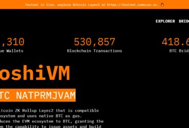 SatoshiVM Airdrop Review 2023: Good Or Bad Airdrop Read Our Review