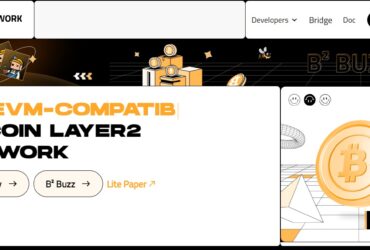 B² Network Airdrop Review 2023: Good Or Bad Airdrop Read Our Review