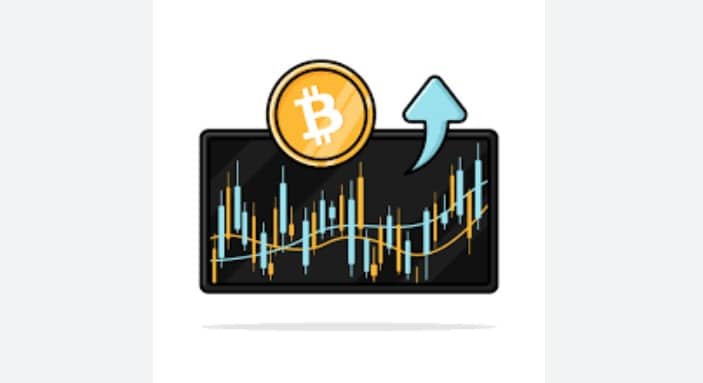 30 Best Custodial Wallets For Crypto In 2024