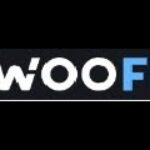 10 Best Wootfi.com Blog Alternatives