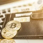 Which Crypto Wallet Is Most Secure? Top Safe Wallets Compared