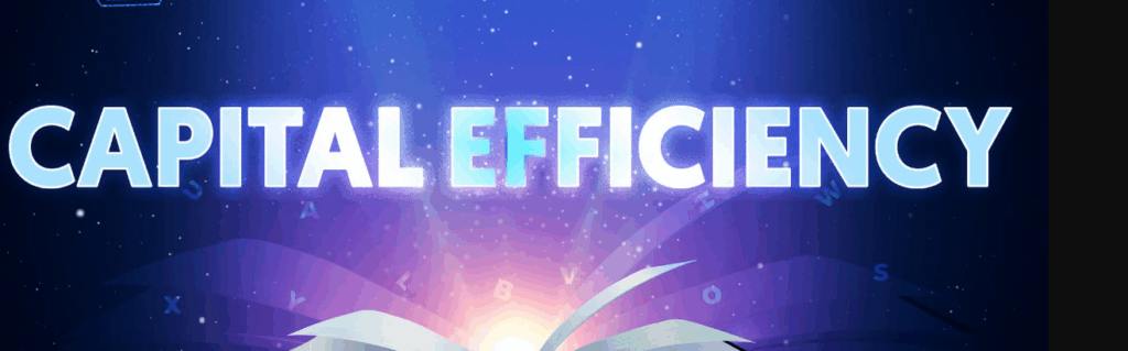 Capital efficiency