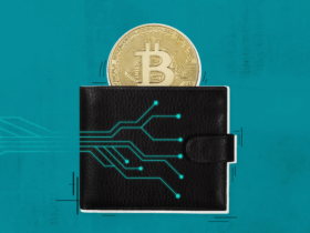 10 Top Multi-Chain Wallets Supporting Advanced Security Features