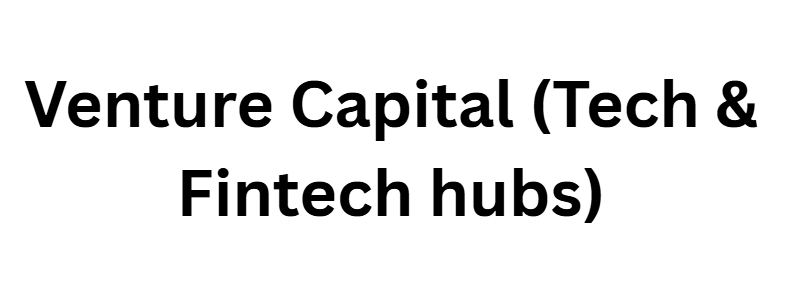 Venture Capital (Tech & Fintech hubs)