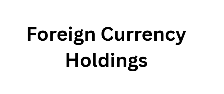 Foreign Currency Holdings (USD, EUR, GBP)