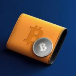 10 Best Crypto Wallets for US-Compliant Institutions – Secure & Regulated