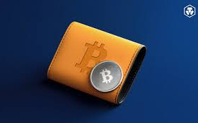 10 Best Crypto Wallets for US-Compliant Institutions – Secure & Regulated