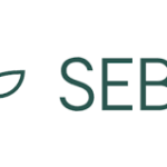 10 Best SEBA Bank Card Alternatives in 2026