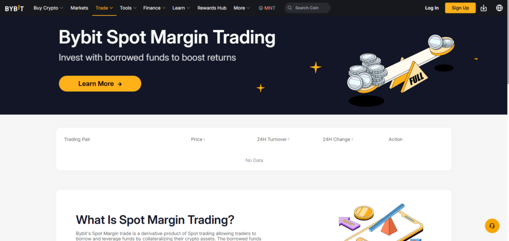 Bybit Margin