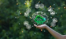 10 Best Platforms for Trading On-Chain Carbon Credits & Green Energy