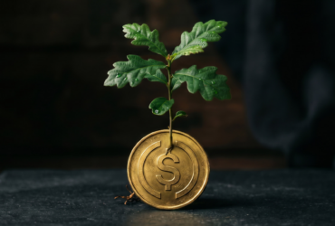 10 Best Yield-Bearing Stablecoin Platforms for Corporates