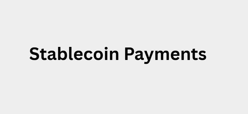 What Are Stablecoin Payments?